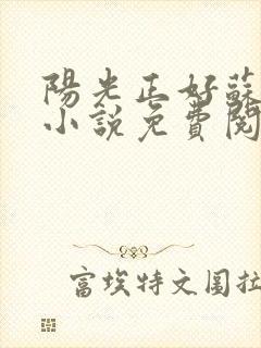 阳光正好苏玥玥小说免费阅读