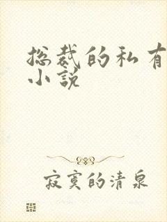 总裁的私有宝贝小说