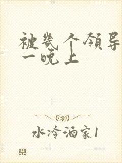 被几个领导玩弄一晚上