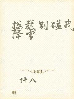 总裁别碰我 韩降雪