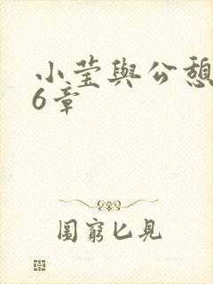 小莹与公憩第26章