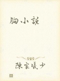 胸小说