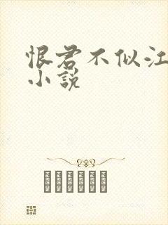 恨君不似江楼月小说