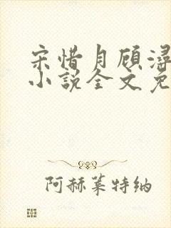 宋惜月顾浔渊的小说全文免费阅读