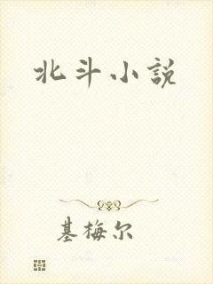 北斗小说