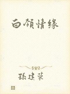 白领情缘