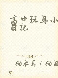高中玩具小诗的日记