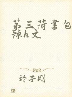 第三荷书包网高辣h文