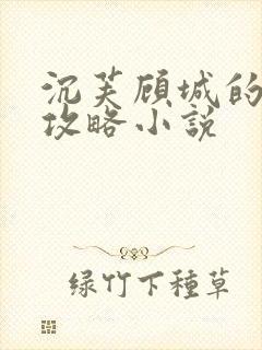 沉芙顾城的优质攻略小说