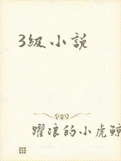 3级小说