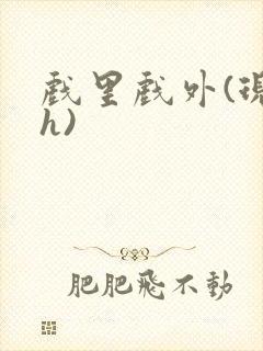 戏里戏外(现场h)