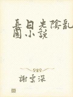 长日光阴乱作一团小说