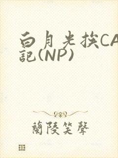 白月光挨CAO记(NP)
