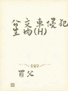 公交车侵犯小男生肉(H)