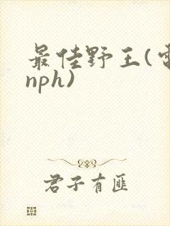 最佳野王(电竞nph)