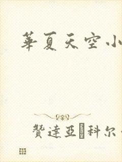 华夏天空小说网