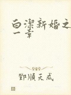 白洁新婚之夜第一章