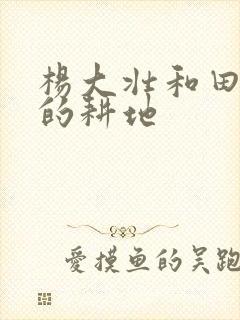 杨大壮和田桂花的耕地