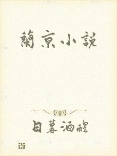 兰京小说