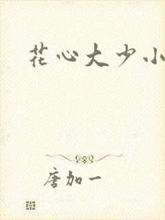 花心大少小说