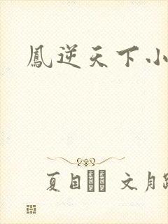 凤逆天下小说