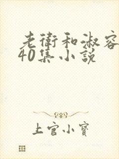 老卫和淑容1-40集小说