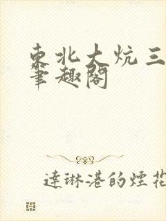 东北大炕三部曲笔趣阁