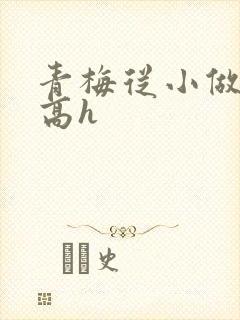 青梅从小做到大高h