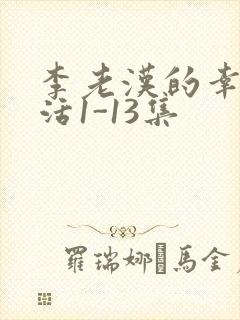 李老汉的幸福生活1-13集