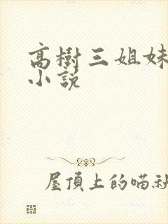 高树三姐妹有声小说