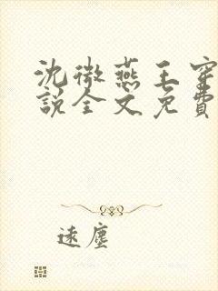 沈微燕王穿越小说全文免费阅读