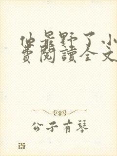 他最野了小说免费阅读全文