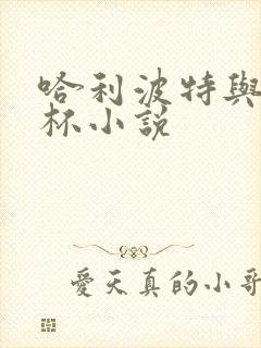 哈利波特与火焰杯小说