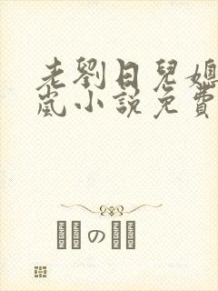 老刘日儿媳妇张岚小说免费阅读