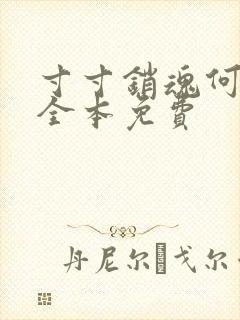 寸寸销魂何生祥全本免费