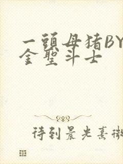 一头母猪BY黄金圣斗士