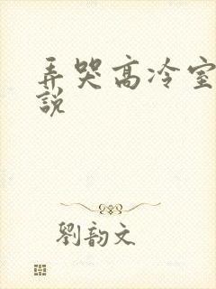 弄哭高冷室友小说