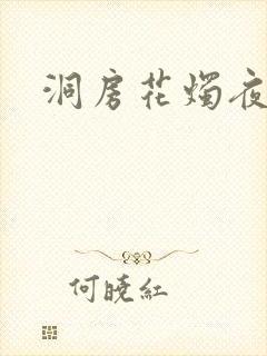 洞房花烛夜小说