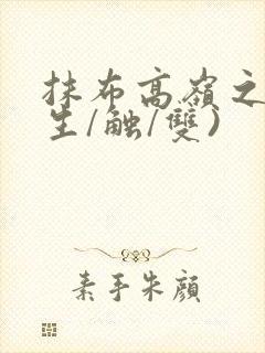 抹布高岭之花(生/触/双)