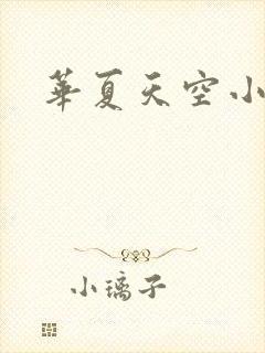 华夏天空小说网