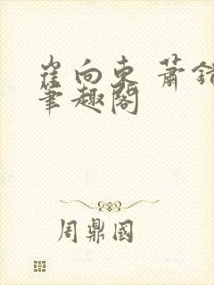 崔向东 萧错 笔趣阁