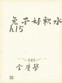 兔子好软水好多h15