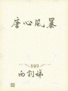 唐心风暴
