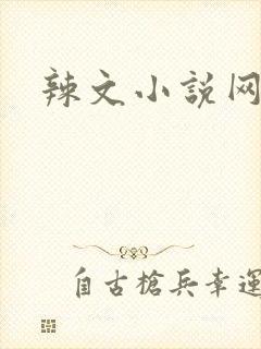 辣文小说网
