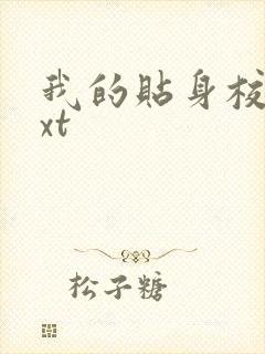 我的贴身校花txt