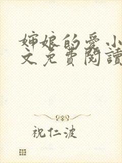 婶娘的爱小说全文免费阅读