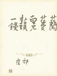 一对白花花的大馒头免费阅读