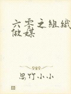 六零之组织给我做媒