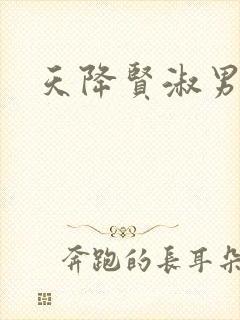天降贤淑男小说