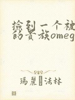 捡到一个被抹布的贵族omega